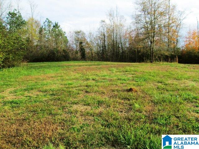 8068 Highway 11 Springville Al, Unit 1 Springville, AL 35146 - Photo 5 of 7