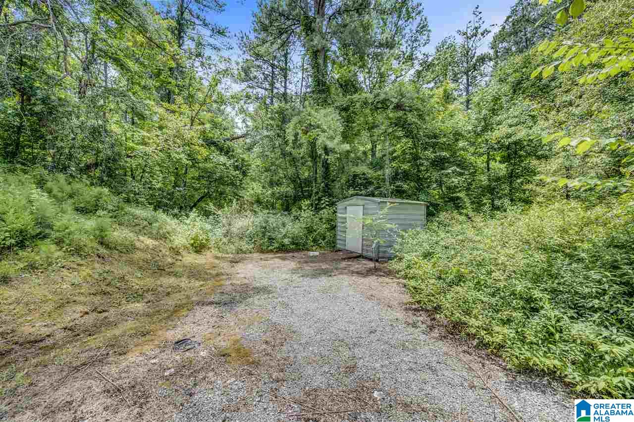 7 Mack James Road Empire, AL 35063 - Photo 3 of 26