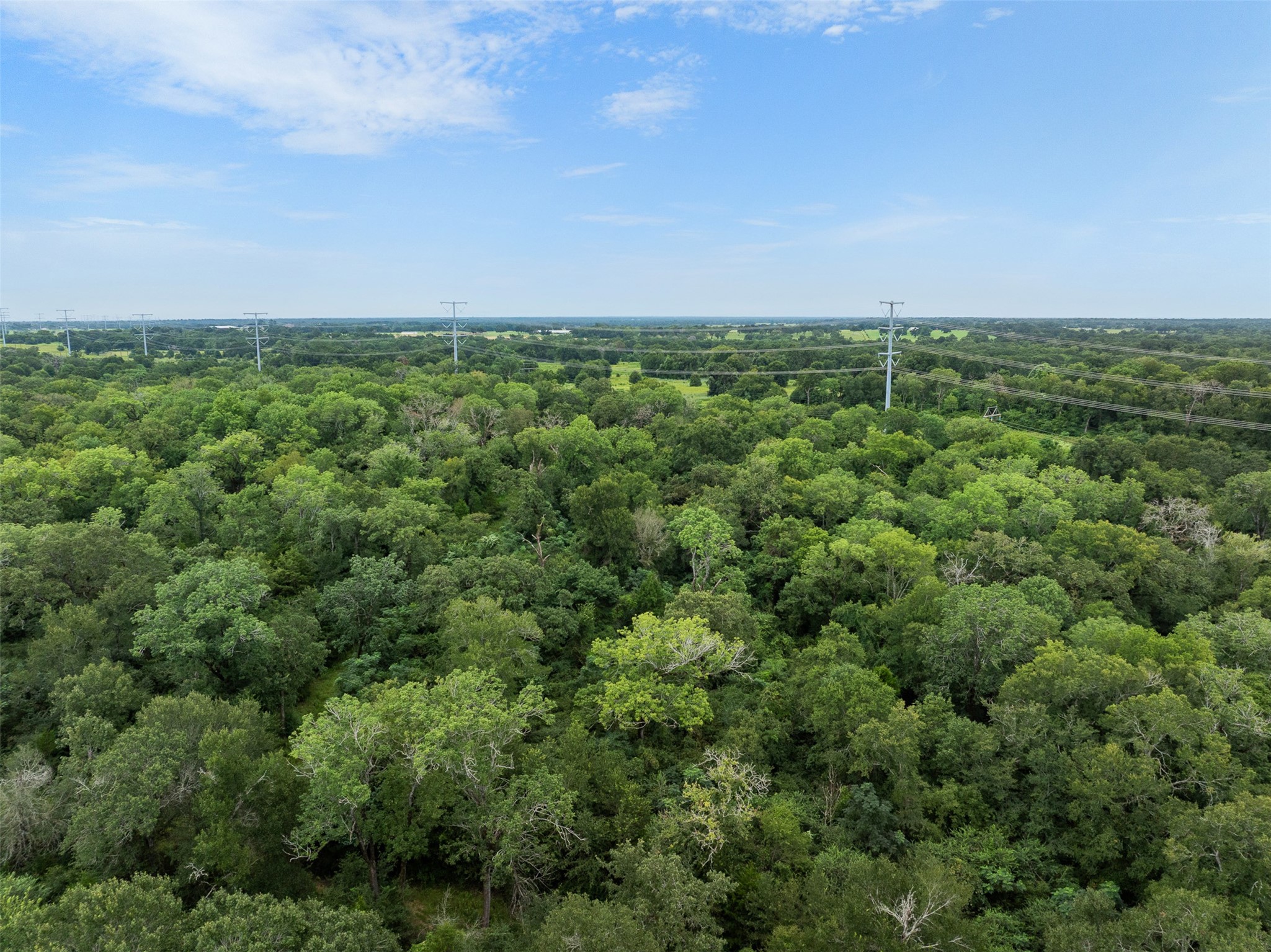 Tbd West Caney Road Normangee, TX 77871 - Photo 33 of 41 Gallery Image 33
