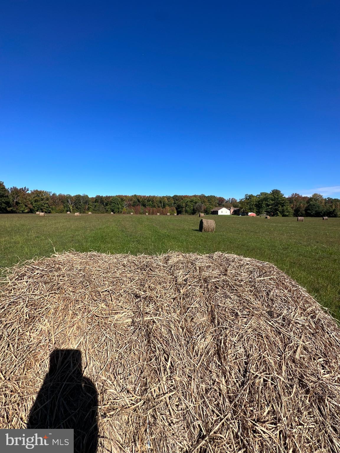 1038 Fieldsboro Road Townsend, DE 19734 - Photo 11 of 28 a view of a lake with a big yard