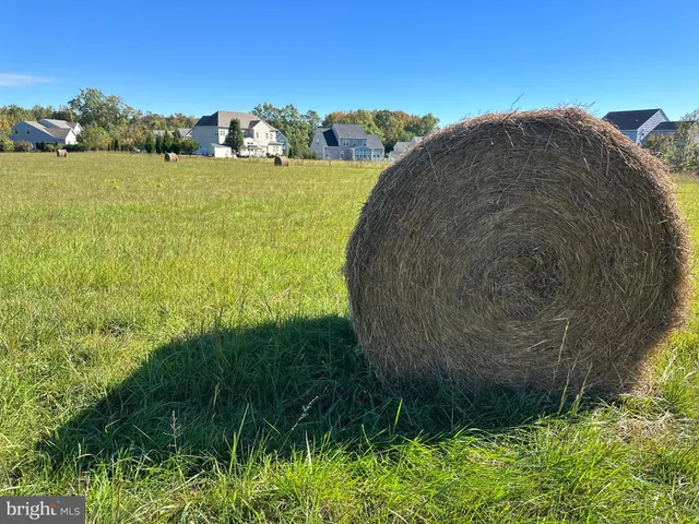 a view of a lake with a big yard