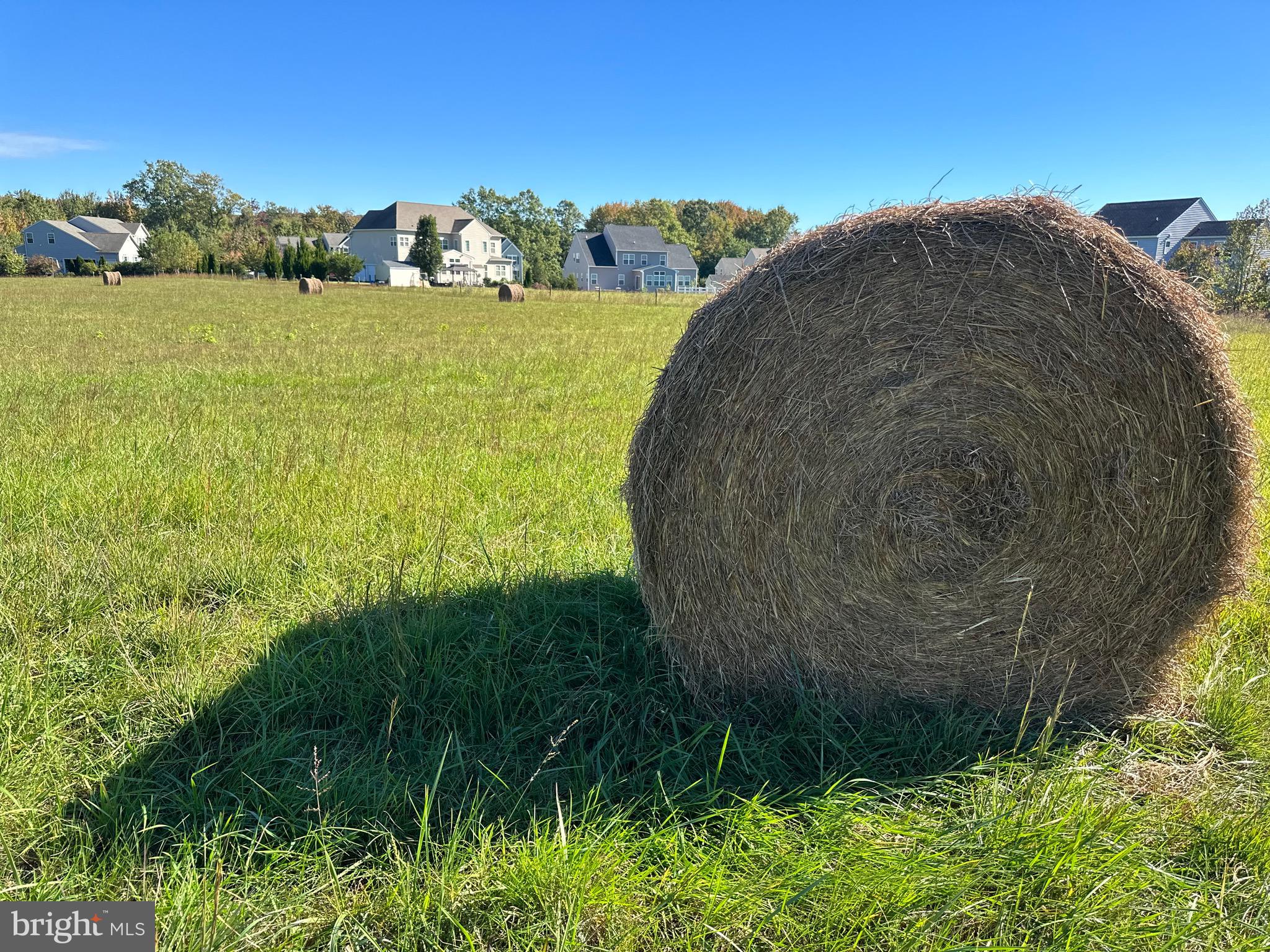 1038 Fieldsboro Road Townsend, DE 19734 - Photo 12 of 28 a view of a lake with a big yard