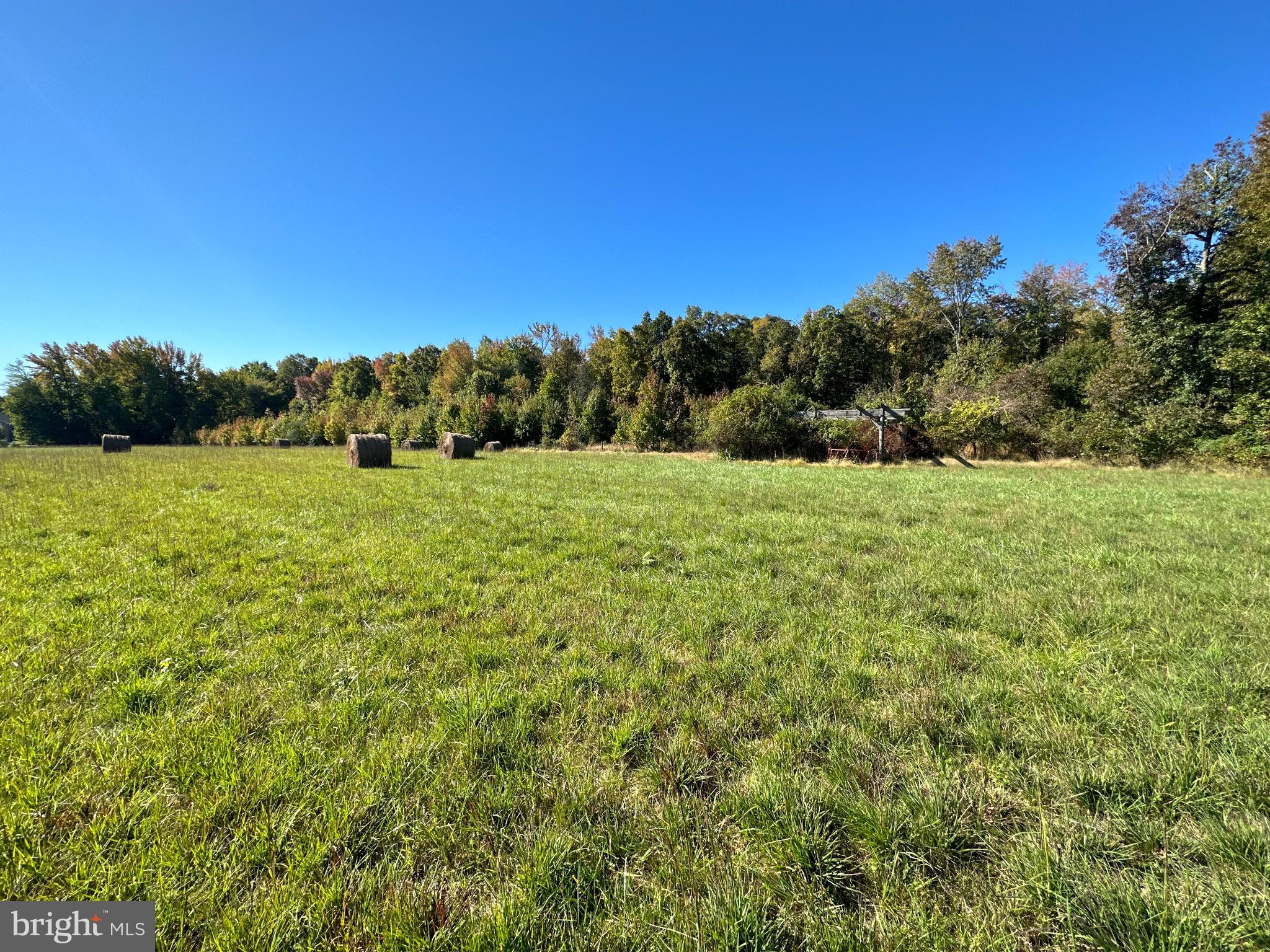 1038 Fieldsboro Road Townsend, DE 19734 - Photo 17 of 28 a view of an outdoor space and a yard