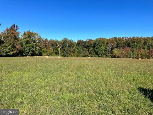 a view of an ocean from a yard