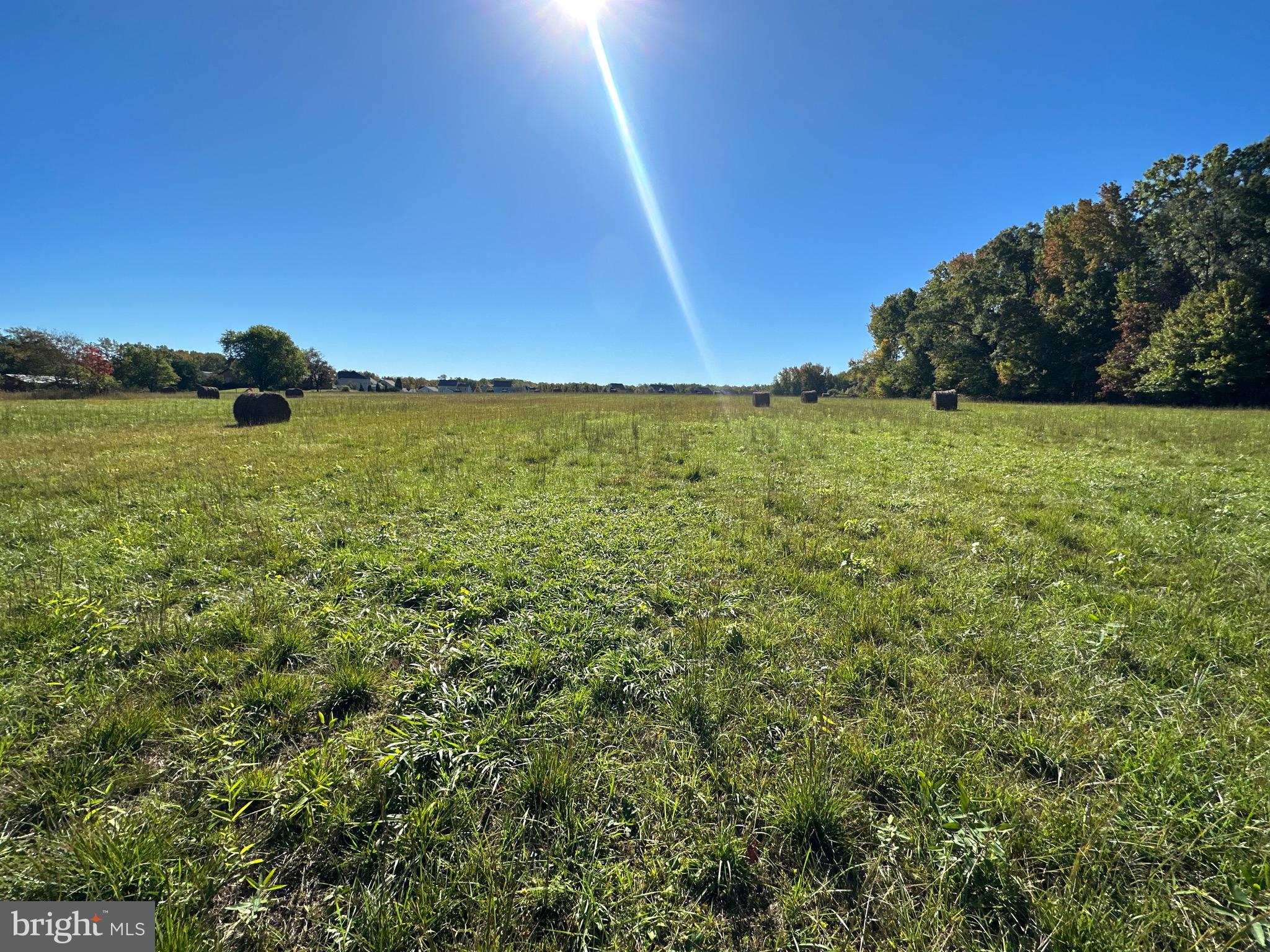 1038 Fieldsboro Road Townsend, DE 19734 - Photo 20 of 28 a view of an ocean and a yard
