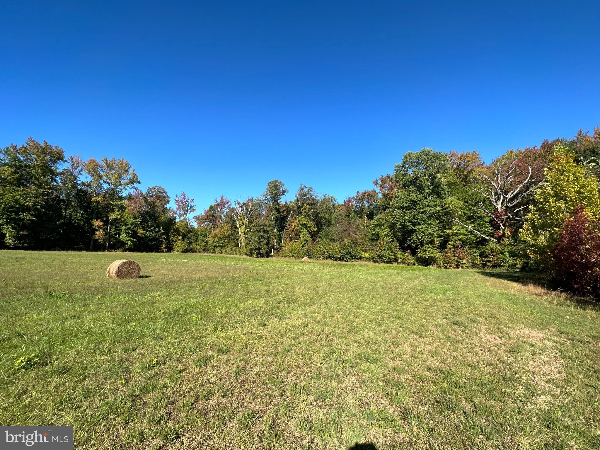 1038 Fieldsboro Road Townsend, DE 19734 - Photo 21 of 28 a view of outdoor space and yard