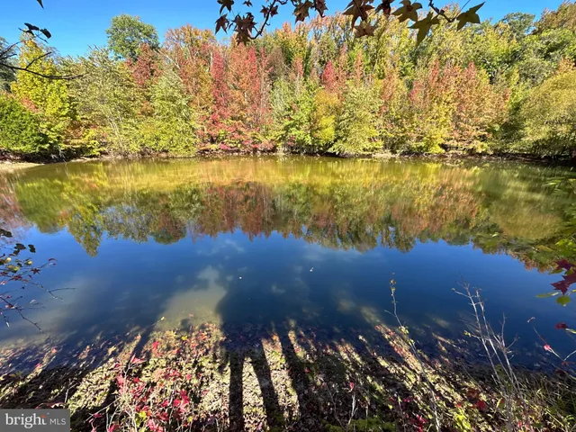 a view of a field of grass and trees