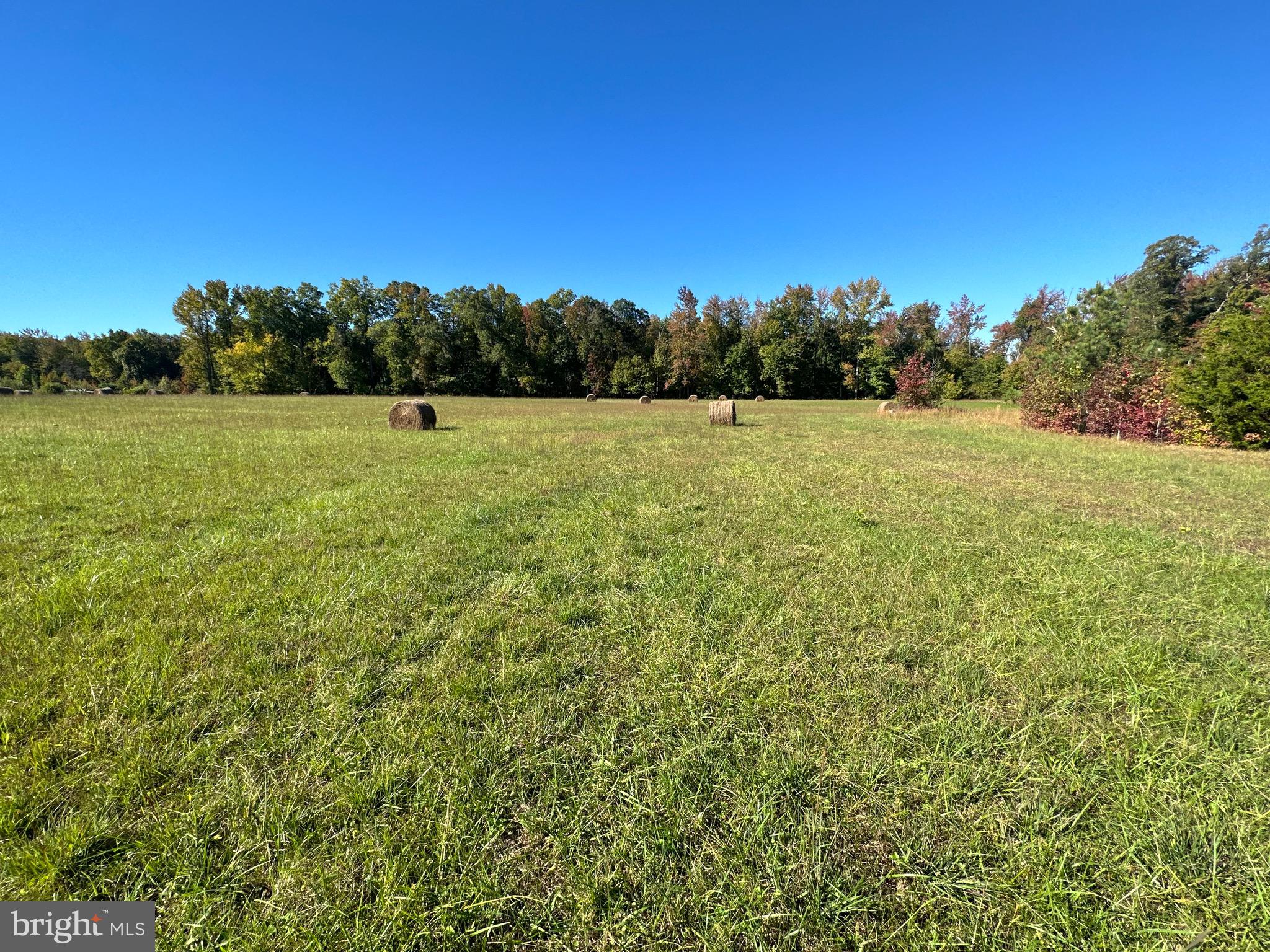 1038 Fieldsboro Road Townsend, DE 19734 - Photo 23 of 28 a view of a field of grass and trees