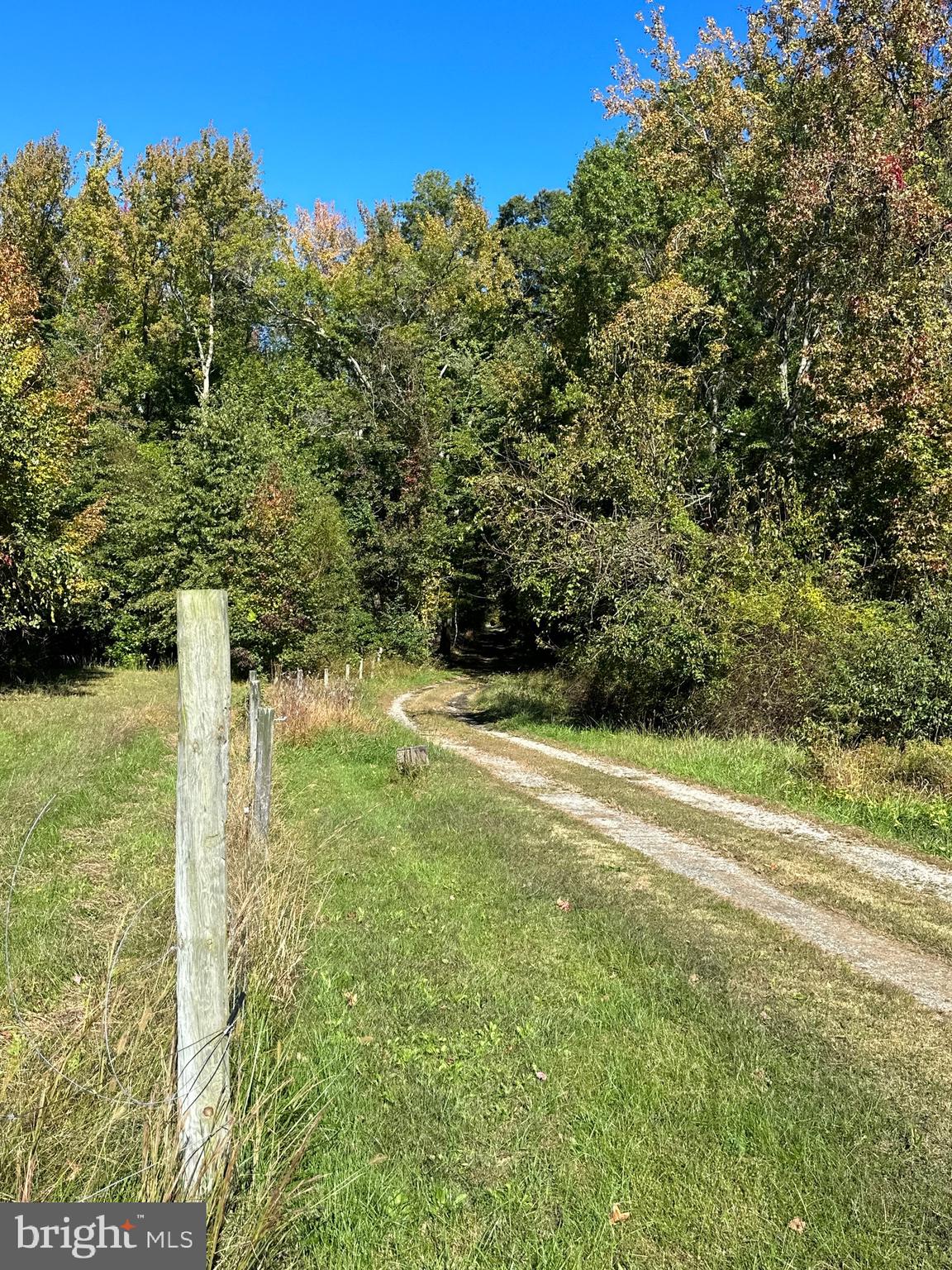 1038 Fieldsboro Road Townsend, DE 19734 - Photo 8 of 28 a view of a yard with an outdoor space