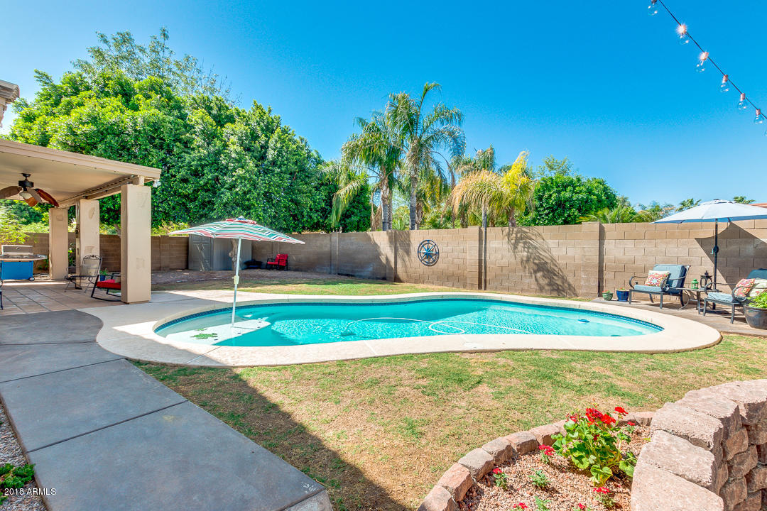 3351 West Drake Street Chandler, AZ 85226 - Photo 19 of 20 a view of a backyard