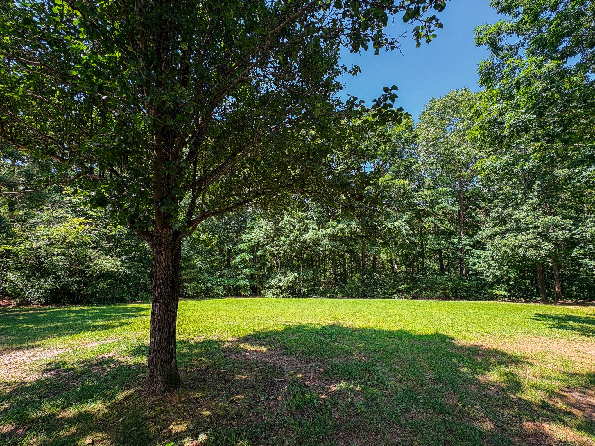 110 Hankins Road Hohenwald, TN 38462 - Photo 22 of 25 a view of green field with a tree
