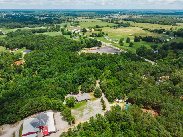 a view of a lush green field with lots of trees