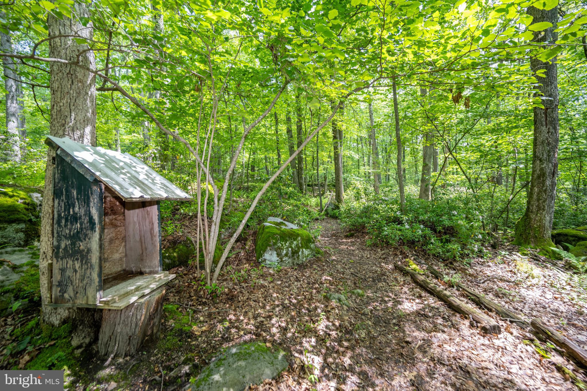 328 Stool Rock Road Oakland, MD 21550 - Photo 101 of 117