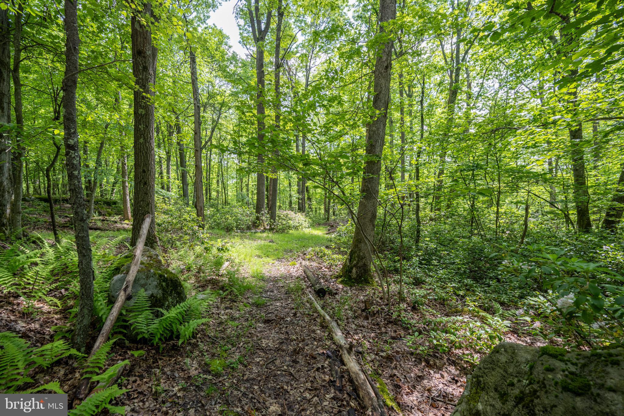 328 Stool Rock Road Oakland, MD 21550 - Photo 102 of 117