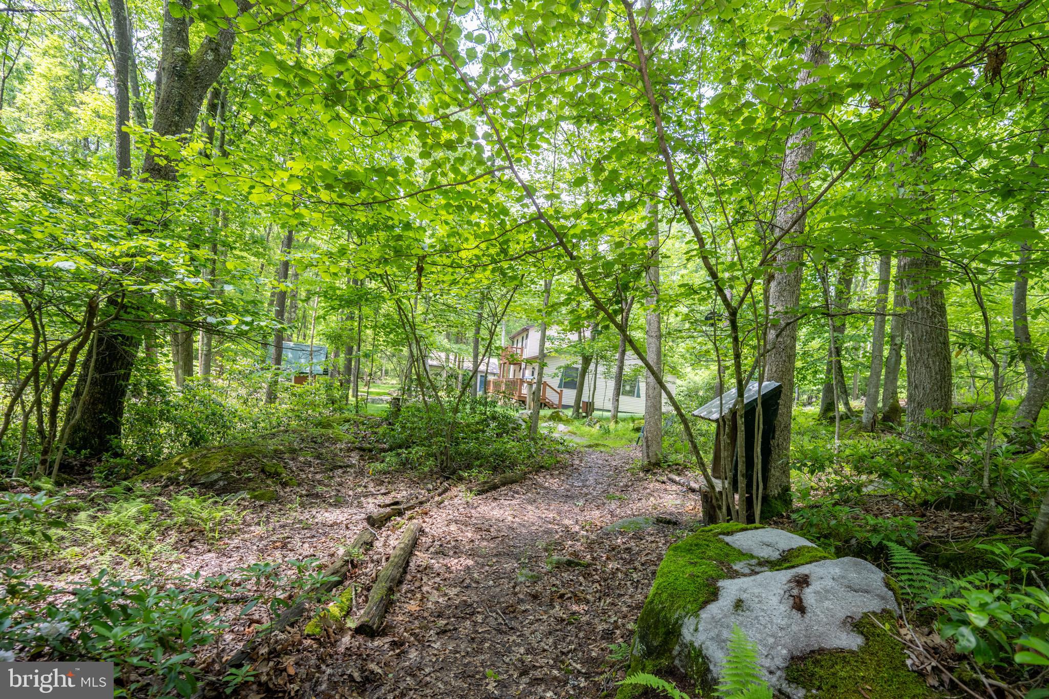 328 Stool Rock Road Oakland, MD 21550 - Photo 103 of 117 a view of backyard with green space