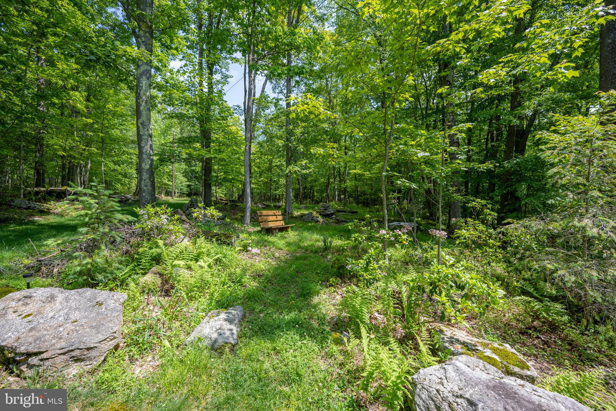 328 Stool Rock Road Oakland, MD 21550 - Photo 106 of 117