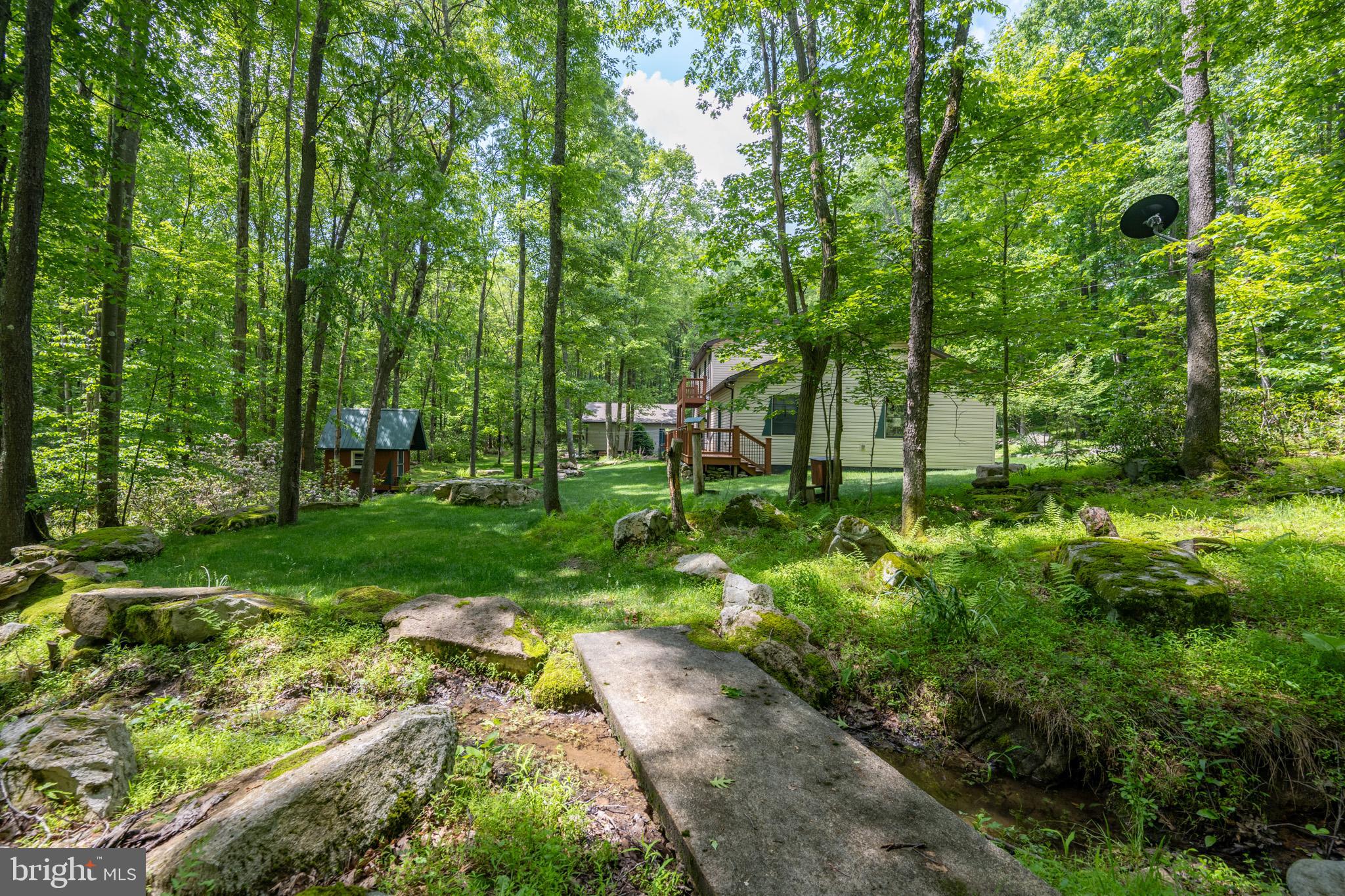 328 Stool Rock Road Oakland, MD 21550 - Photo 110 of 123 a view of backyard with green space