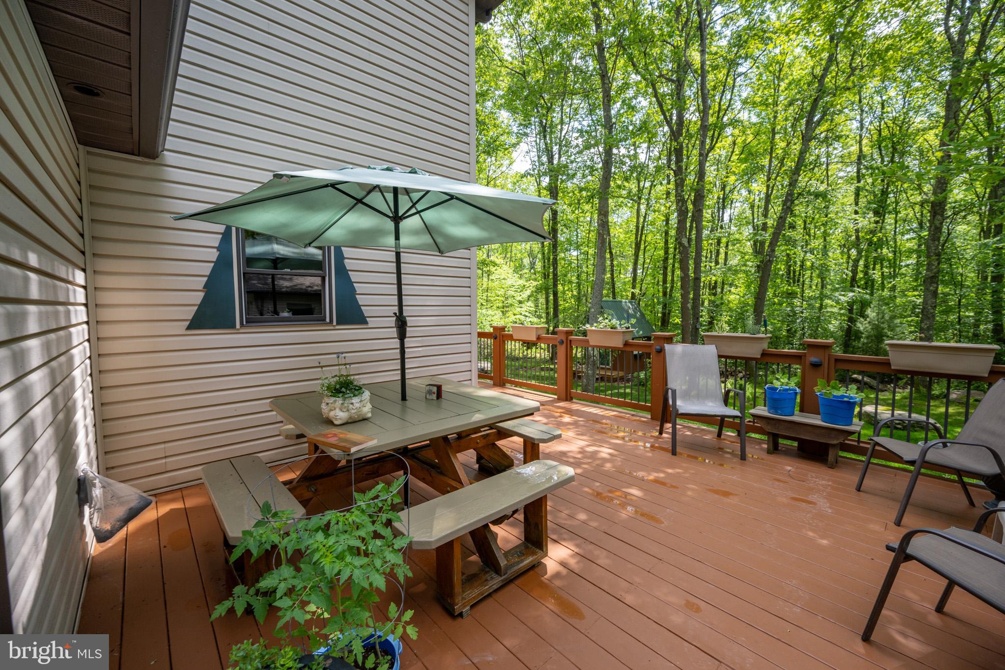 328 Stool Rock Road Oakland, MD 21550 - Photo 111 of 117 a view of a chairs and table in the patio