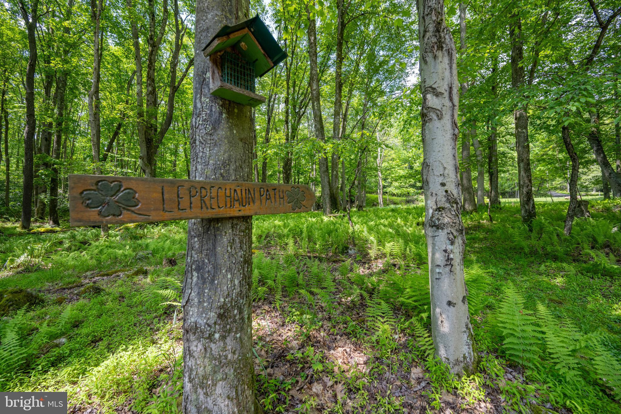 328 Stool Rock Road Oakland, MD 21550 - Photo 14 of 117