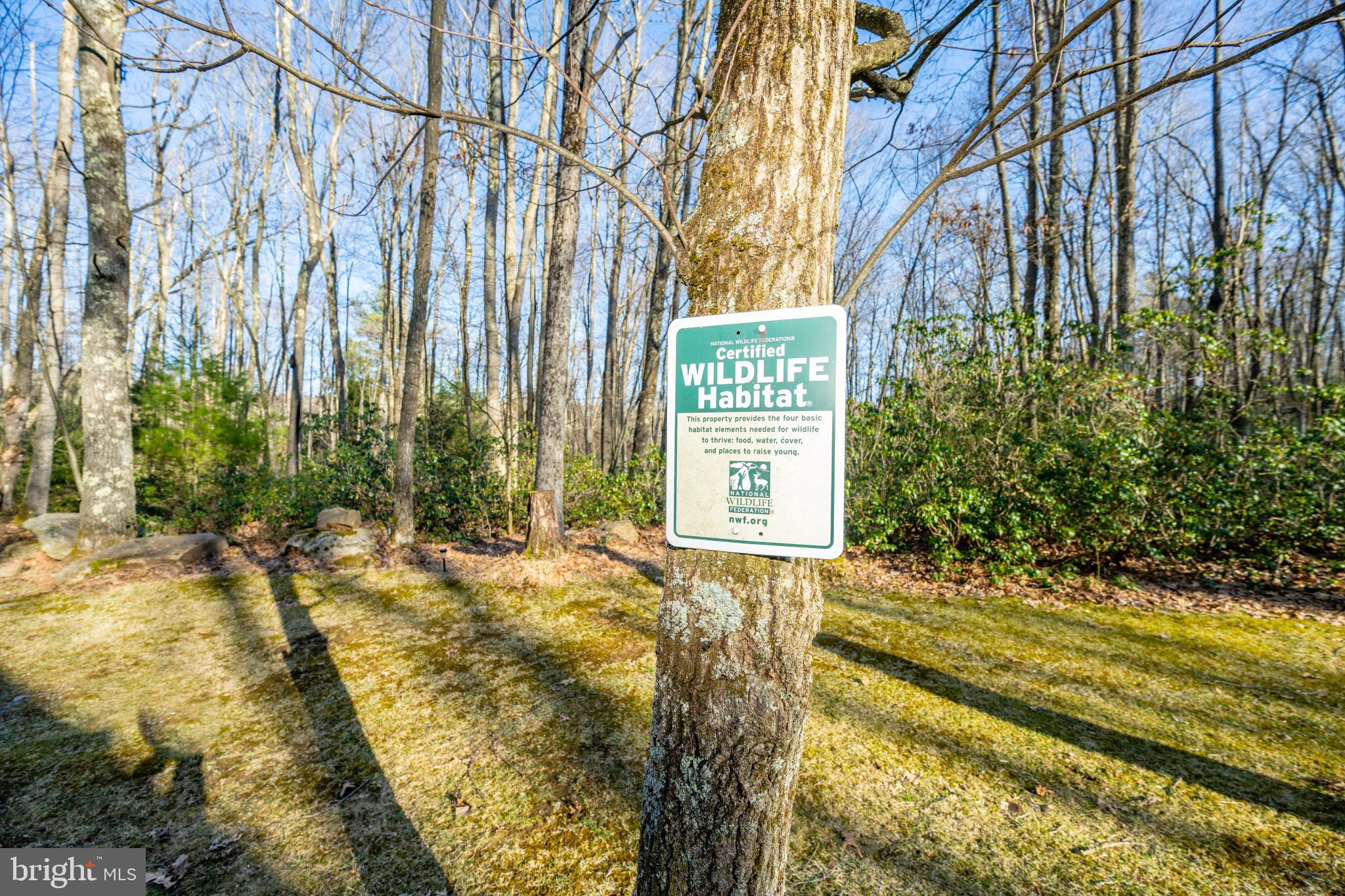 328 Stool Rock Road Oakland, MD 21550 - Photo 15 of 123 a view of a backyard of the house
