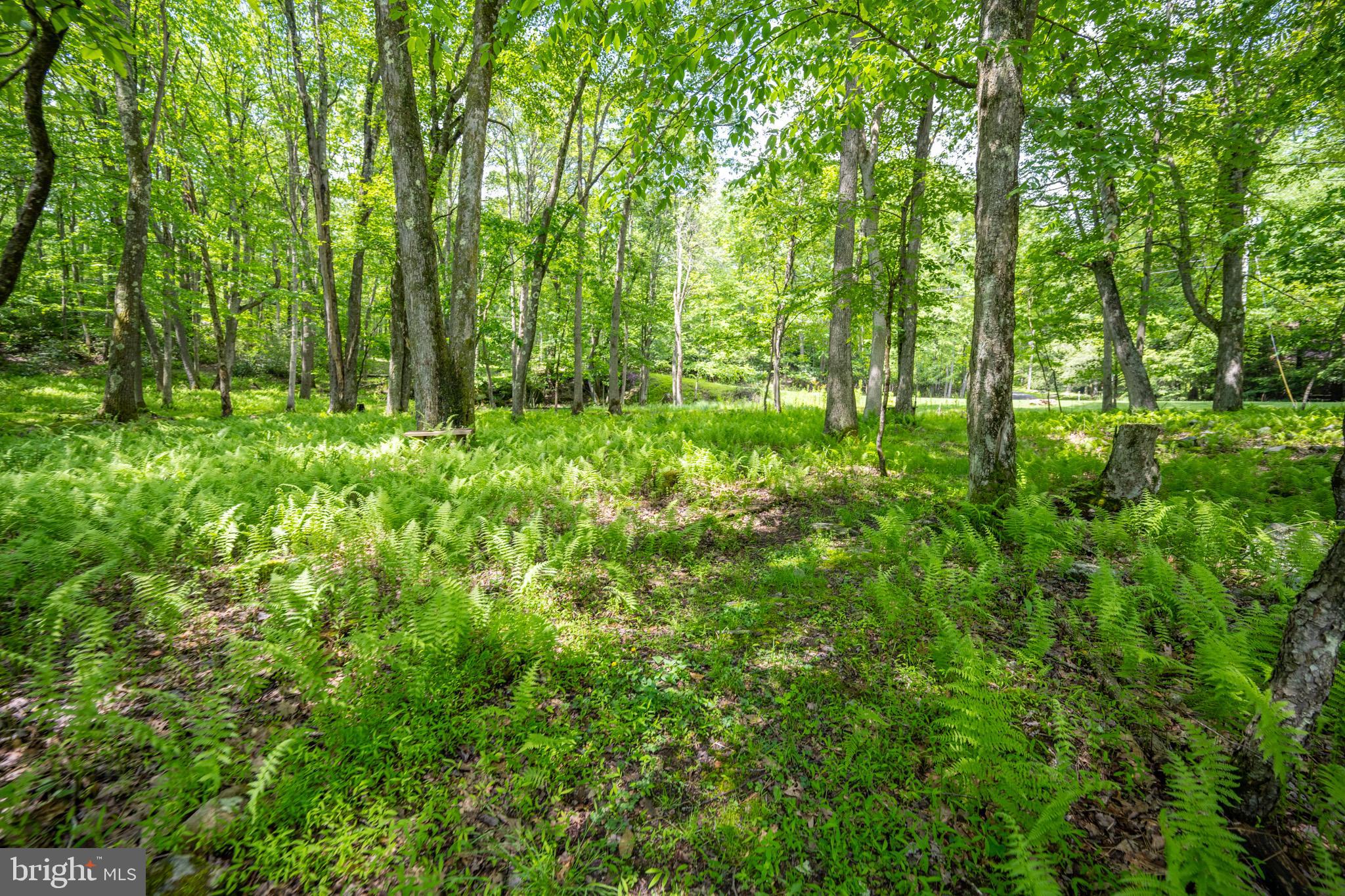 328 Stool Rock Road Oakland, MD 21550 - Photo 15 of 117