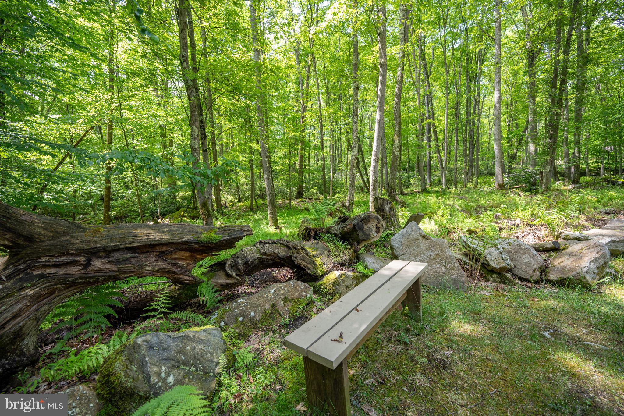 328 Stool Rock Road Oakland, MD 21550 - Photo 18 of 117