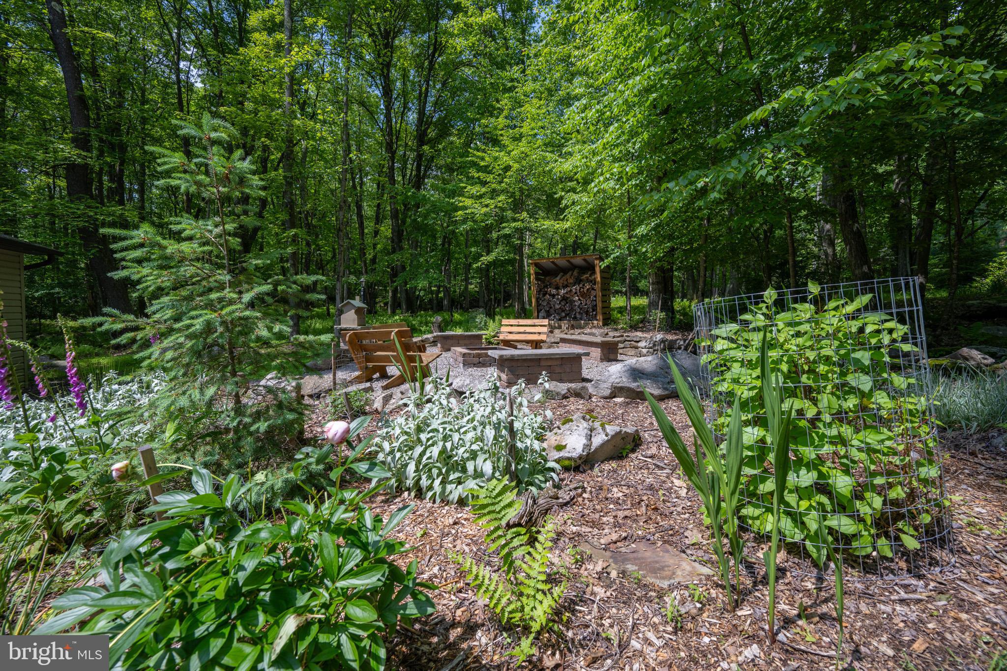 328 Stool Rock Road Oakland, MD 21550 - Photo 19 of 123 a view of yard with green space