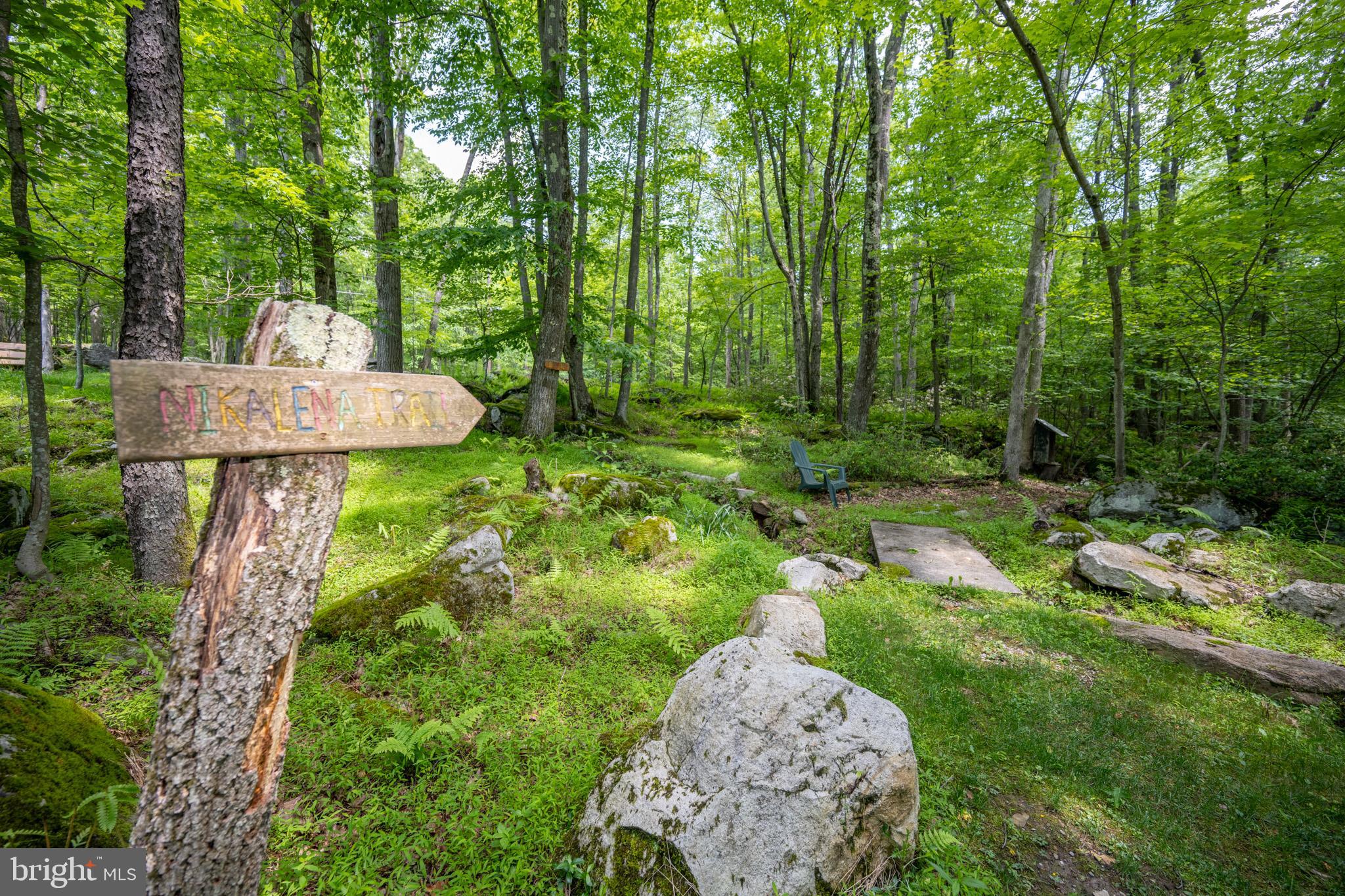 328 Stool Rock Road Oakland, MD 21550 - Photo 26 of 123 a garden view with a sitting space