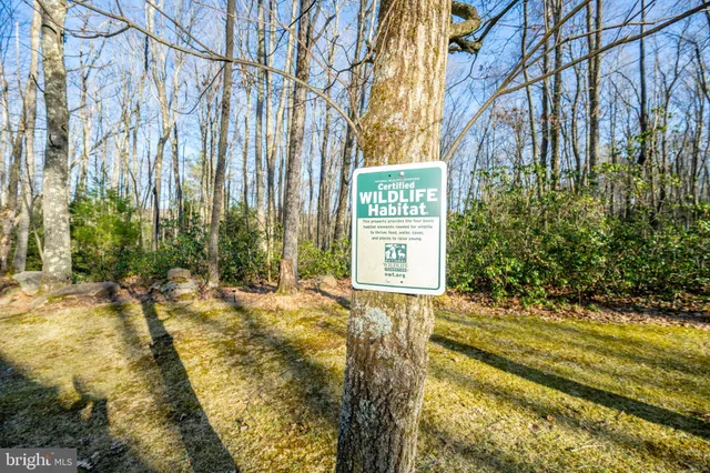 a kitchen with stainless steel appliances granite countertop a refrigerator a sink a stove and island