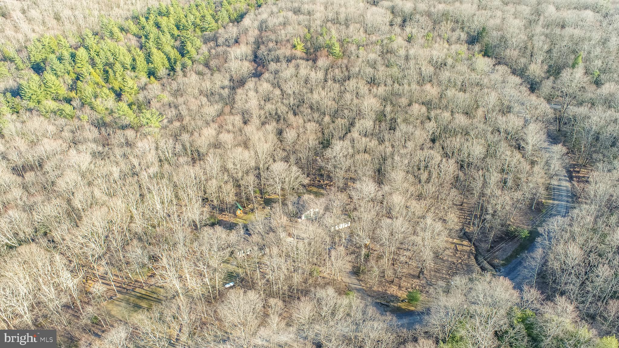 328 Stool Rock Road Oakland, MD 21550 - Photo 6 of 117