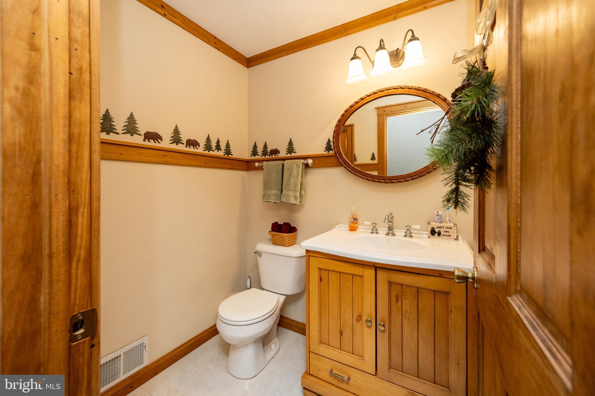 328 Stool Rock Road Oakland, MD 21550 - Photo 69 of 123 a bathroom with a sink a toilet and a mirror
