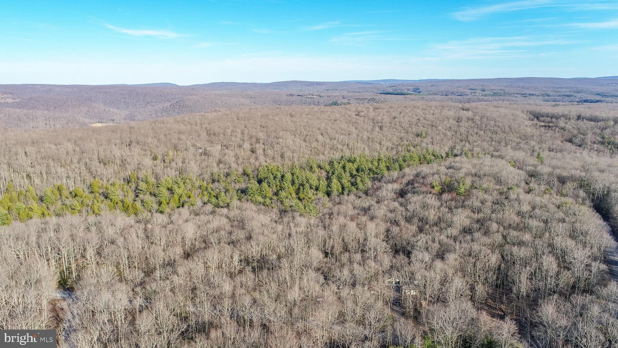 328 Stool Rock Road Oakland, MD 21550 - Photo 7 of 117