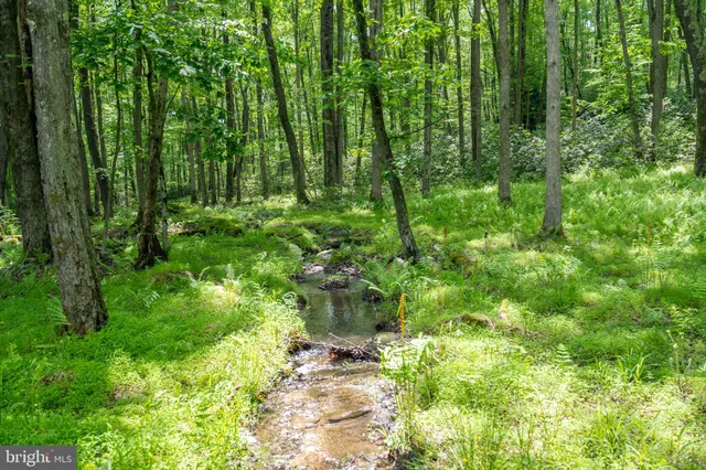 $545,000 | 328 Stool Rock Road, Oakland, MD 21550