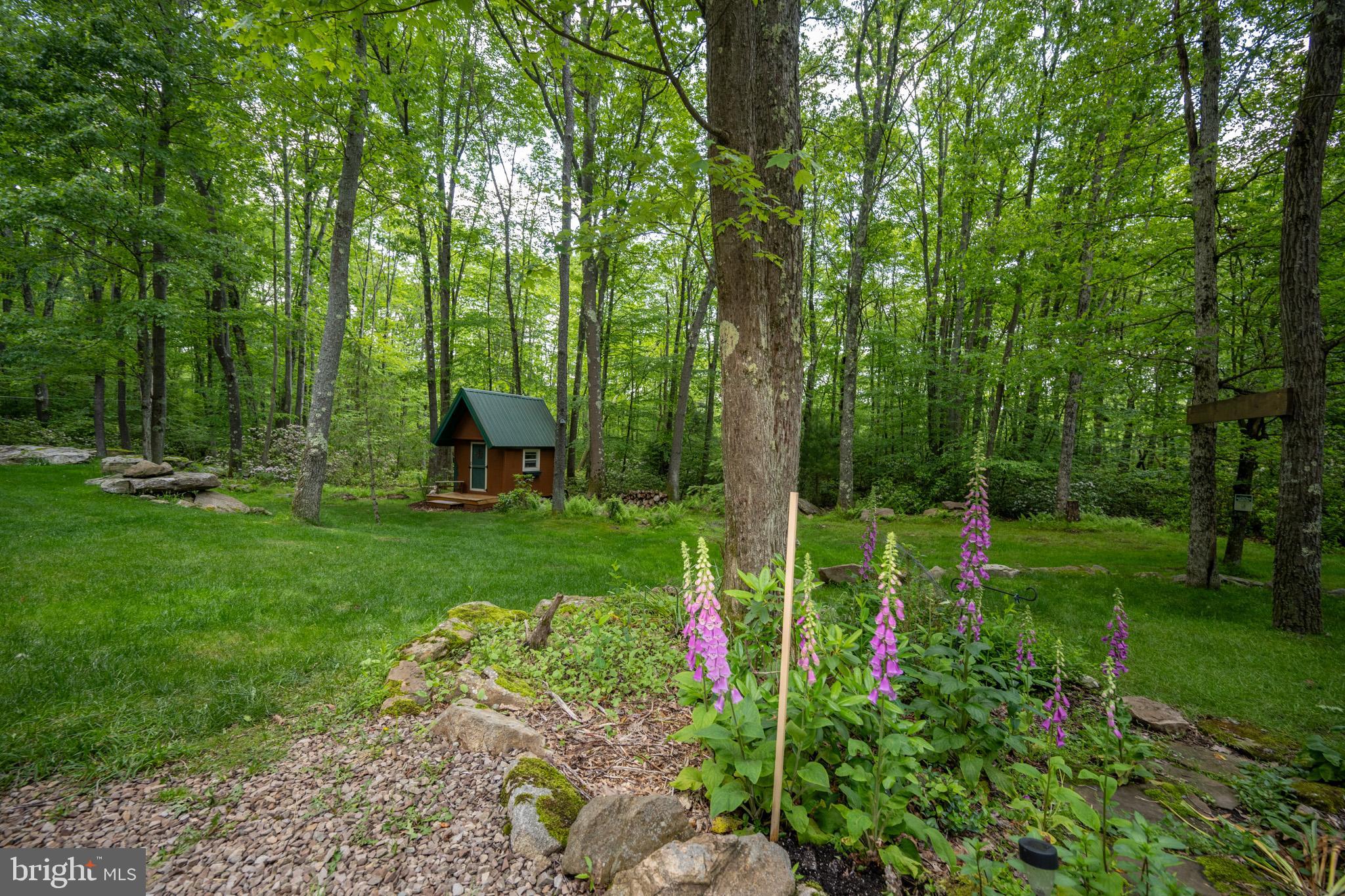 328 Stool Rock Road Oakland, MD 21550 - Photo 89 of 117 a view of a garden with a bench