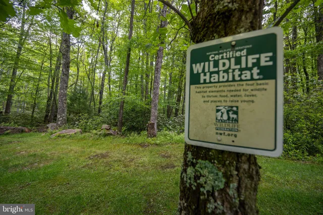 $545,000 | 328 Stool Rock Road, Oakland, MD 21550