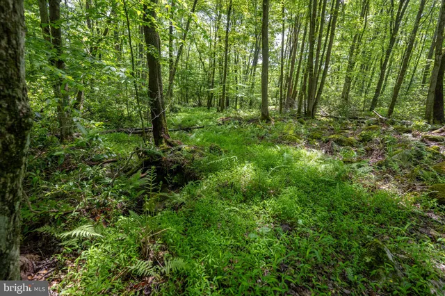 $545,000 | 328 Stool Rock Road, Oakland, MD 21550