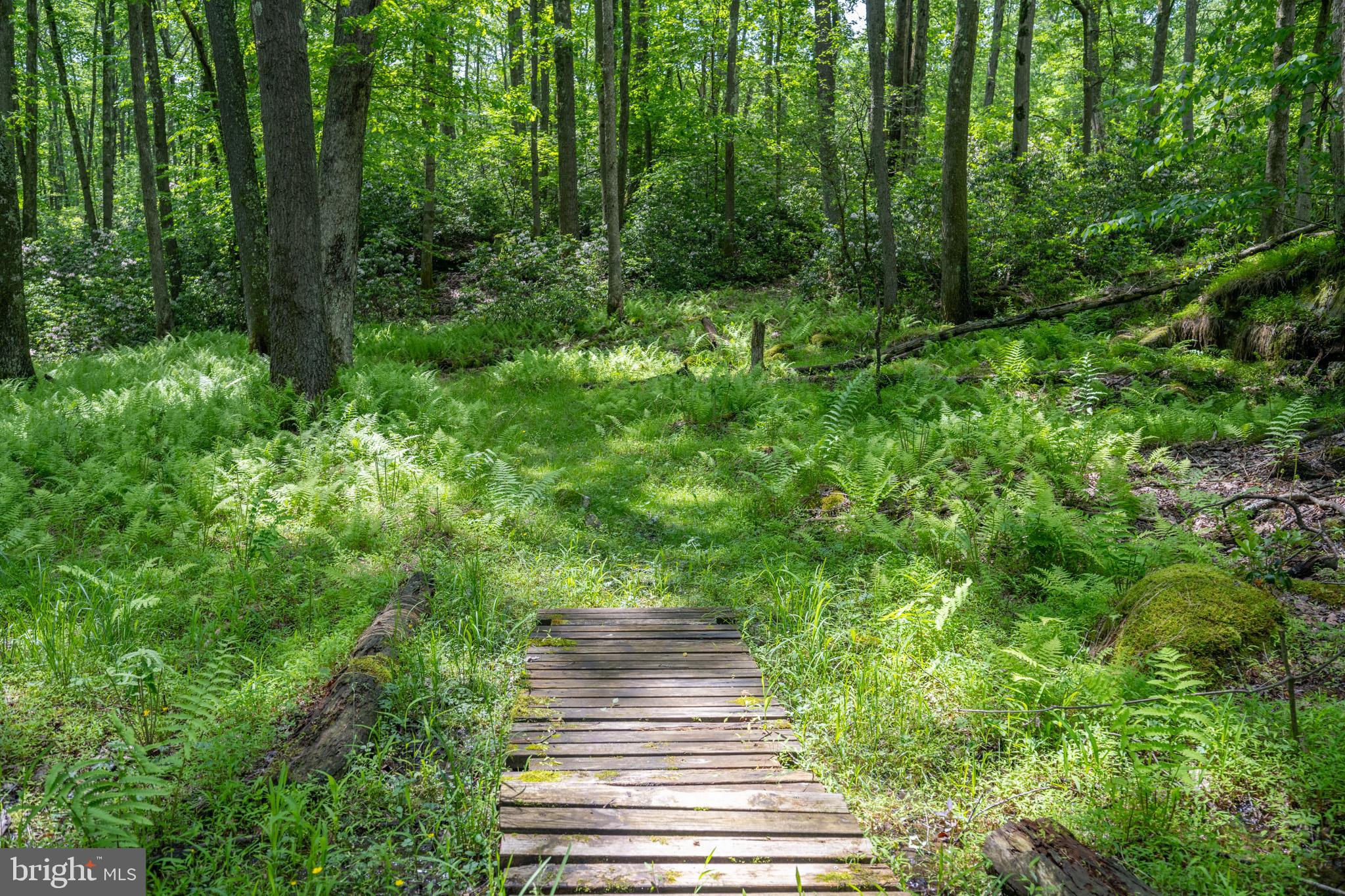 328 Stool Rock Road Oakland, MD 21550 - Photo 96 of 123