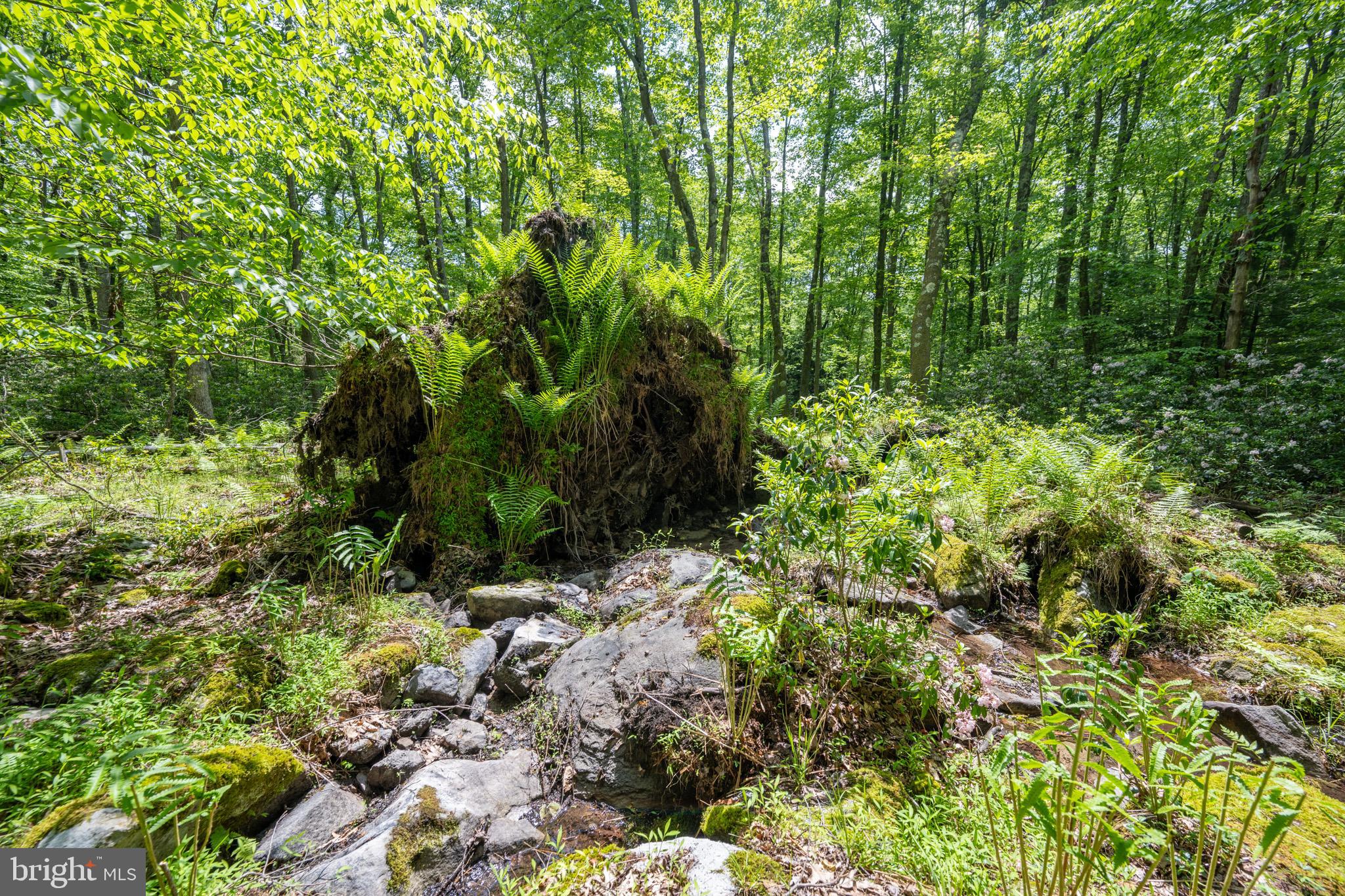 328 Stool Rock Road Oakland, MD 21550 - Photo 97 of 117