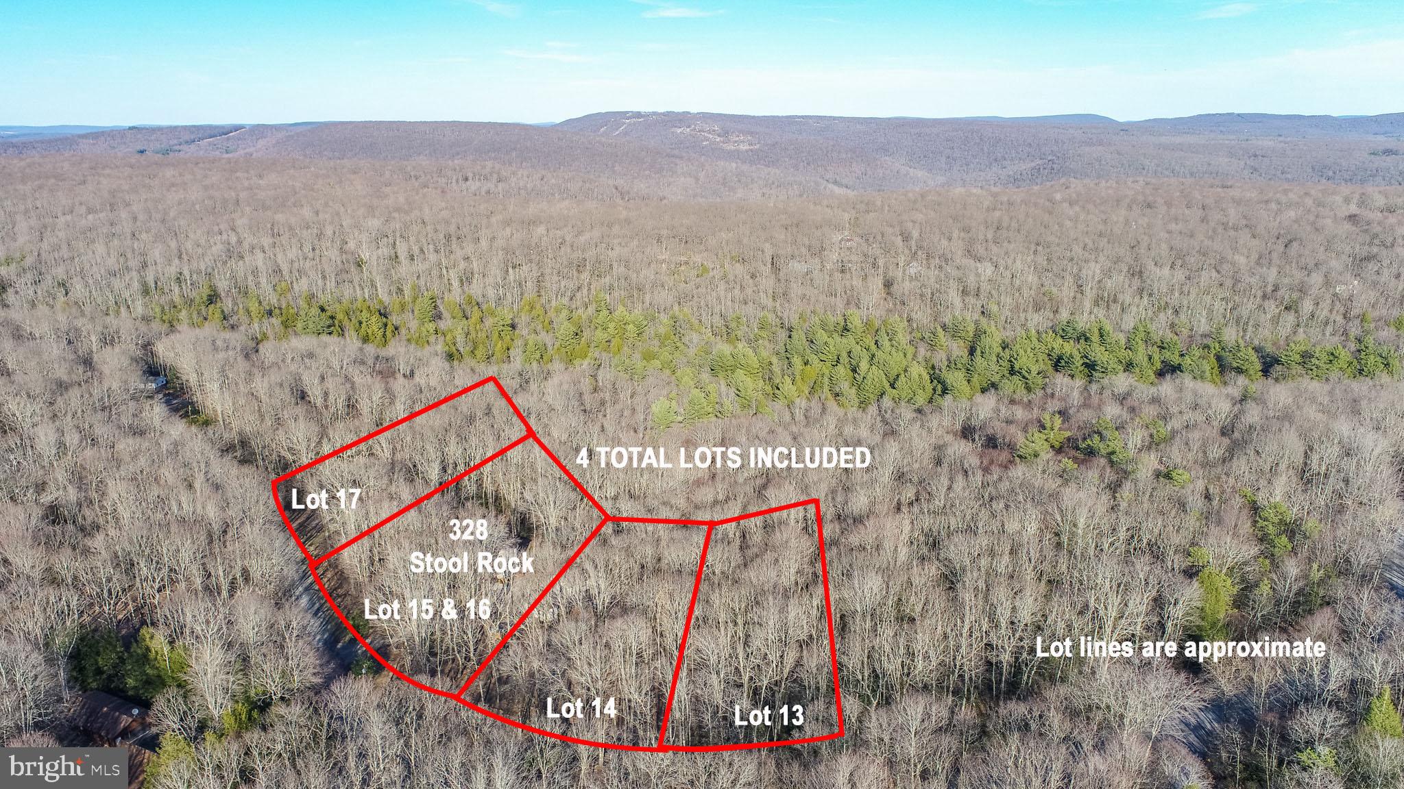 328 Stool Rock Road Oakland, MD 21550 - Photo 10 of 117