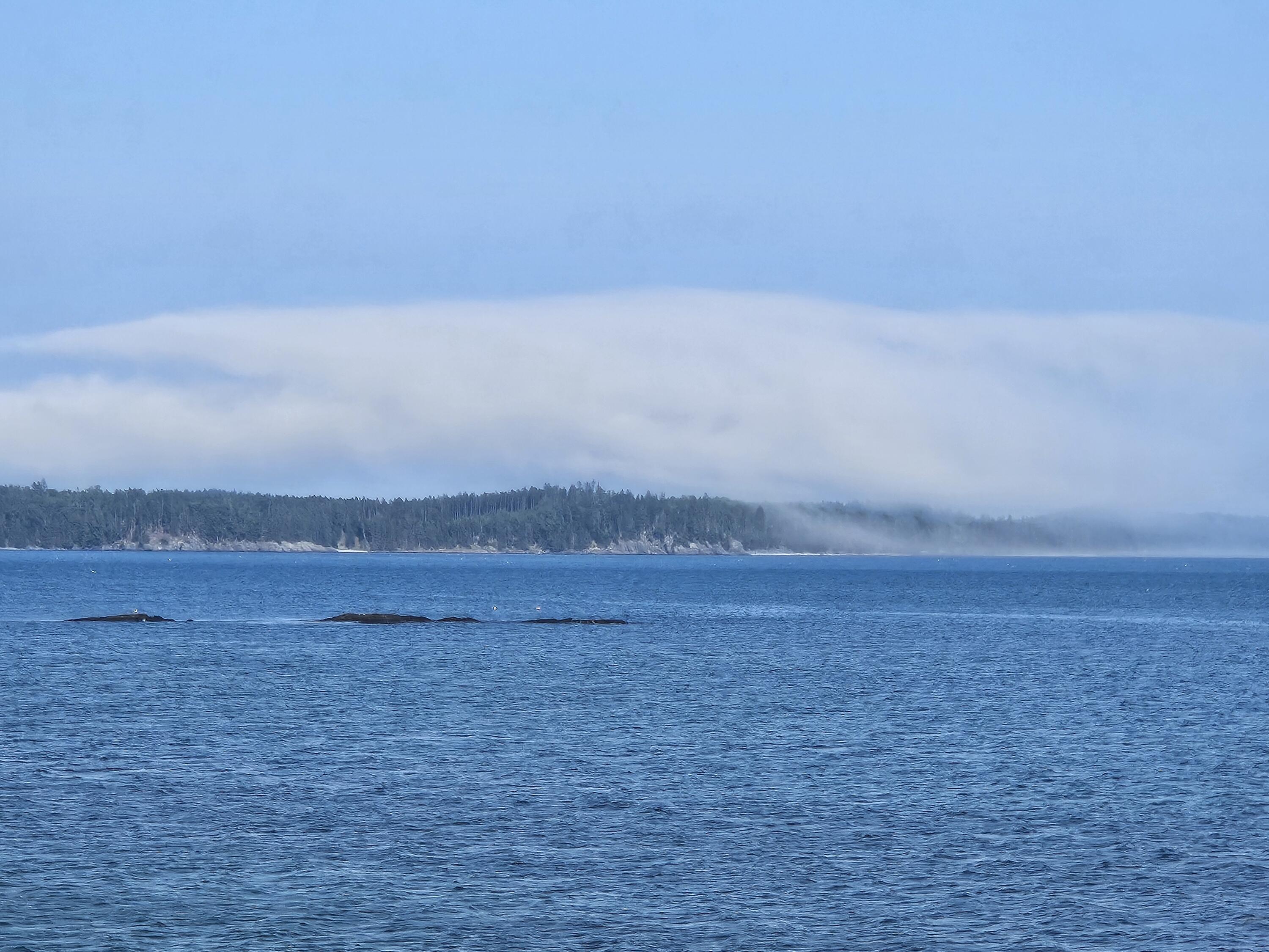 541 Mason Bay Road Jonesport, ME 04649 - Photo 92 of 92