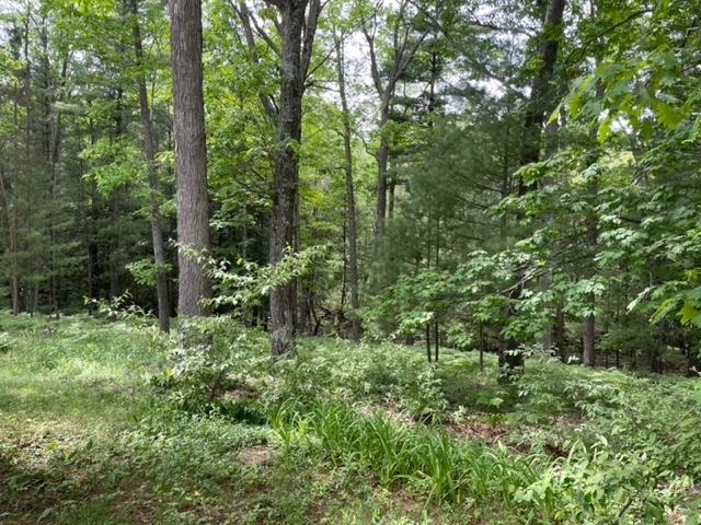 5522 Karlin Road Interlochen, MI 49643 - Photo 12 of 25