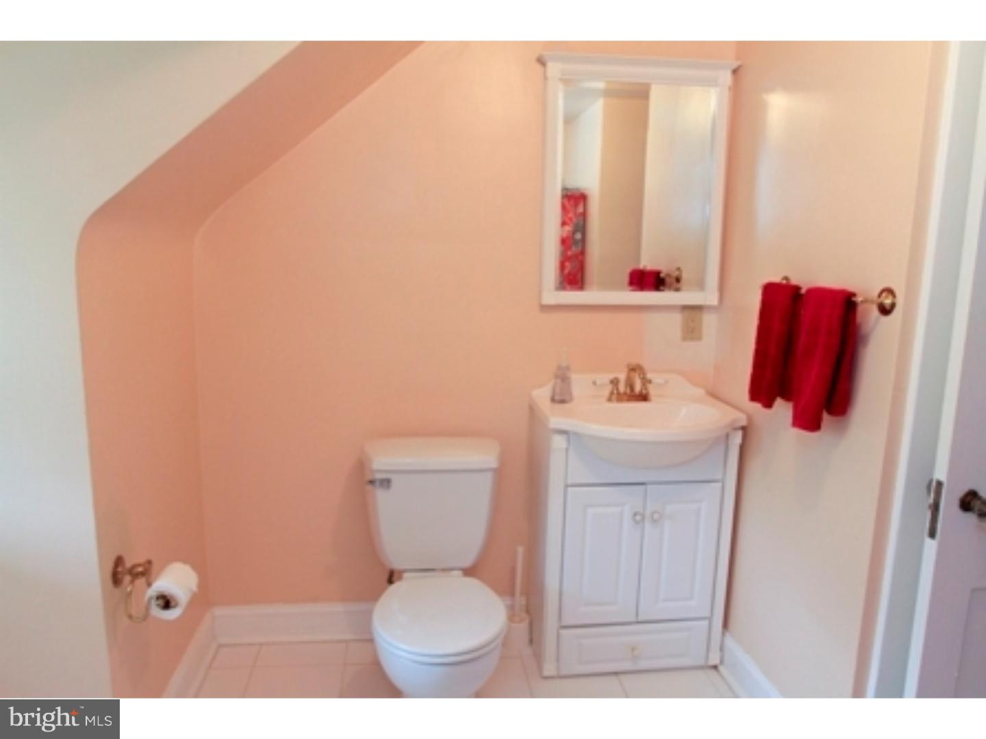 234 Merion Road Merion Station, PA 19066 - Photo 24 of 25 Bathroom