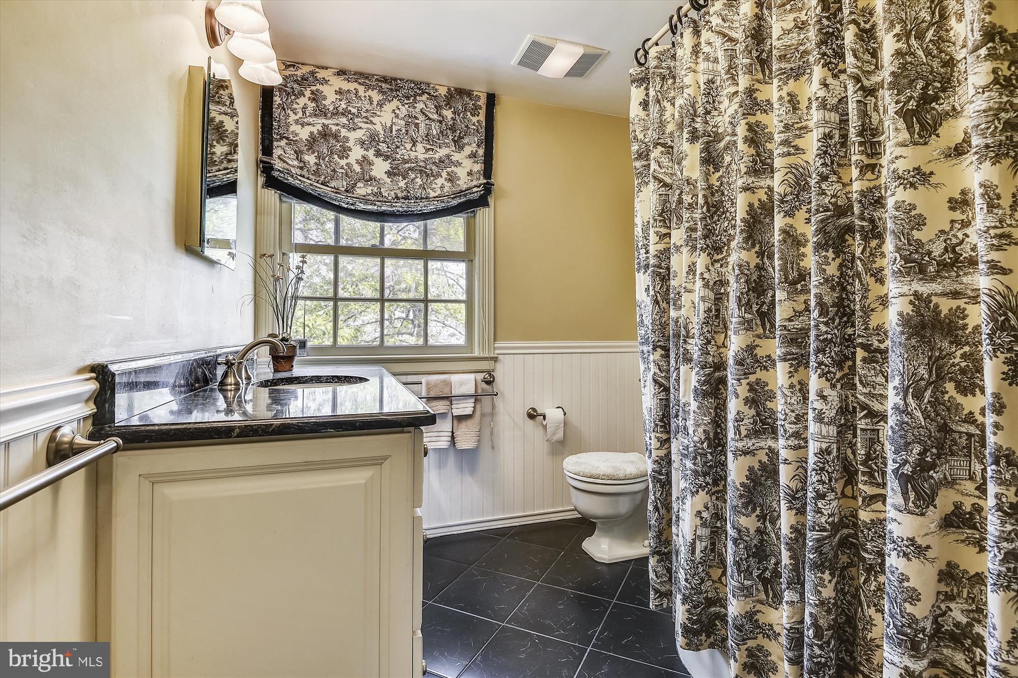 5209 Springlake Way Baltimore, MD 21212 - Photo 34 of 57 a bathroom with a granite countertop sink a toilet and a mirror