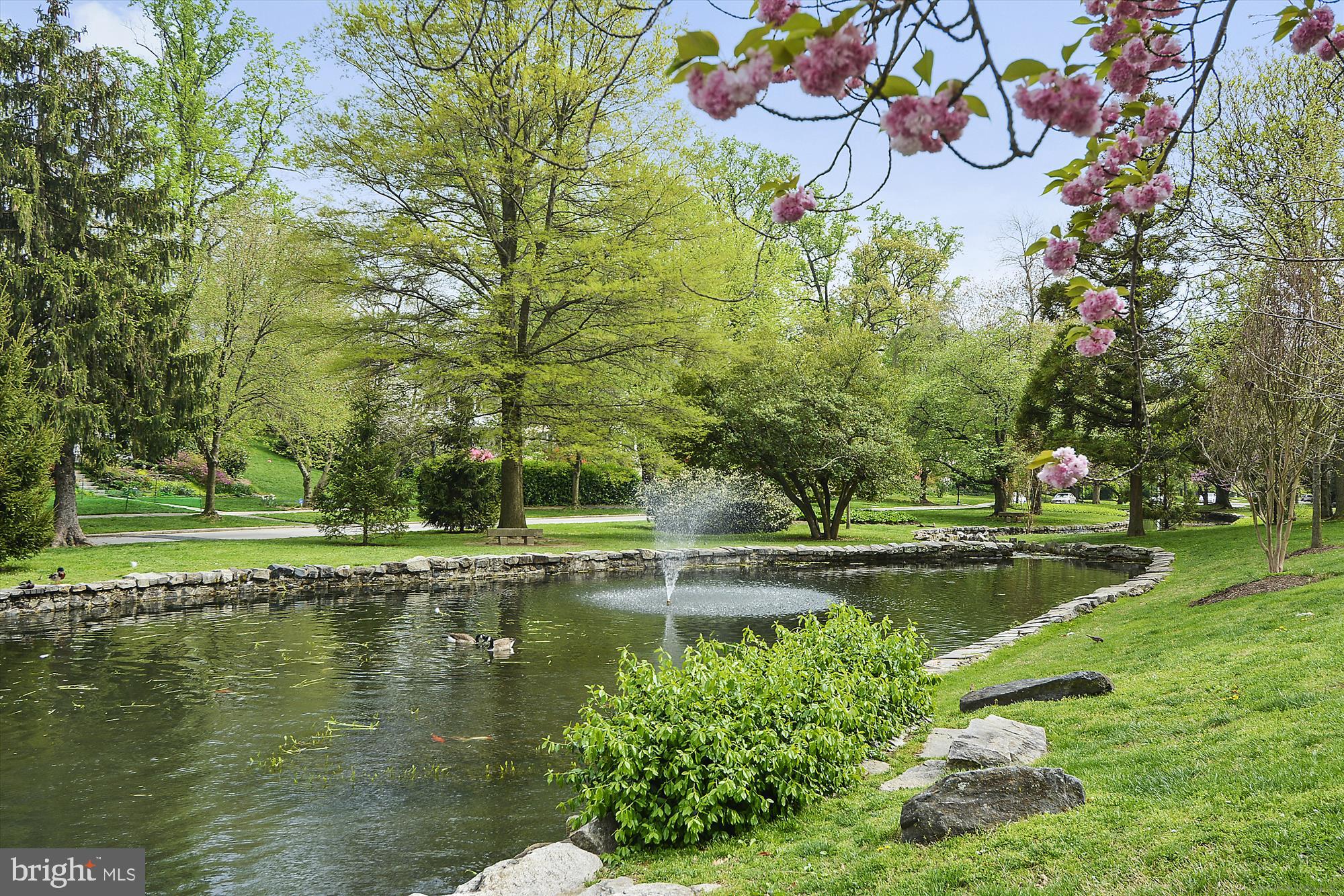 5209 Springlake Way Baltimore, MD 21212 - Photo 56 of 57 View of Lakes