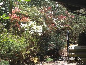 916 Cardinal Road Brevard, NC 28712 - Photo 14 of 16 Gallery Image 14