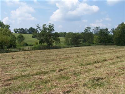 797 Ruddles Mill Road Paris, KY 40361 - Photo 7 of 7 Photo 7