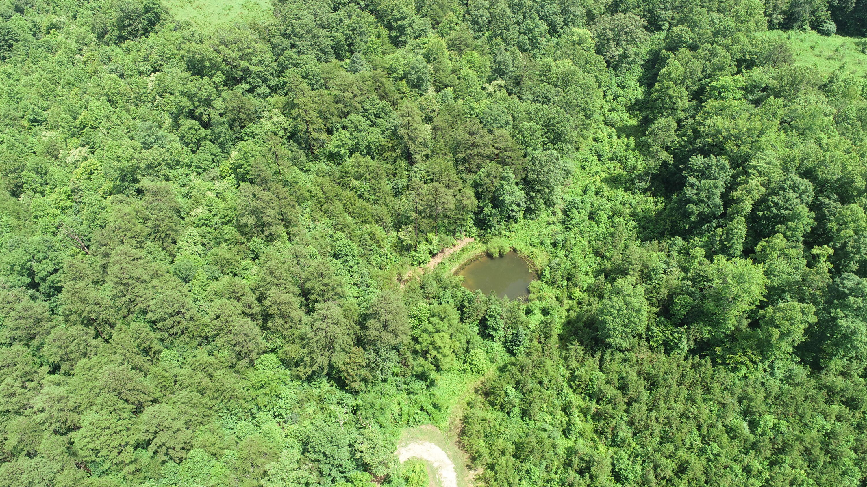 800 Pond Lick Road Annville, KY 40402 - Photo 27 of 46 DJI_0778
