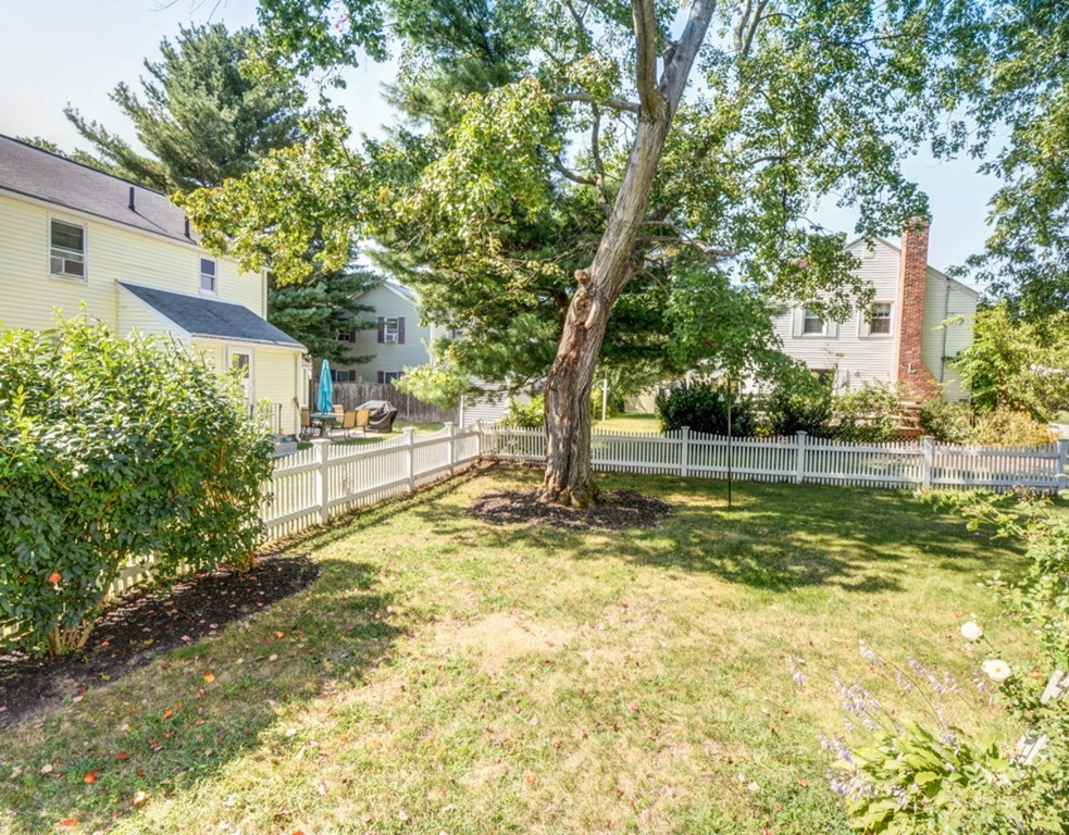 29 Sagamore Road Arlington, MA 02478 - Photo 20 of 21 Gallery Image 20