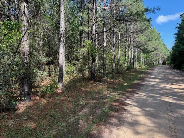 $164,173 | 686 Private Road 5102, Kennard, TX 75847