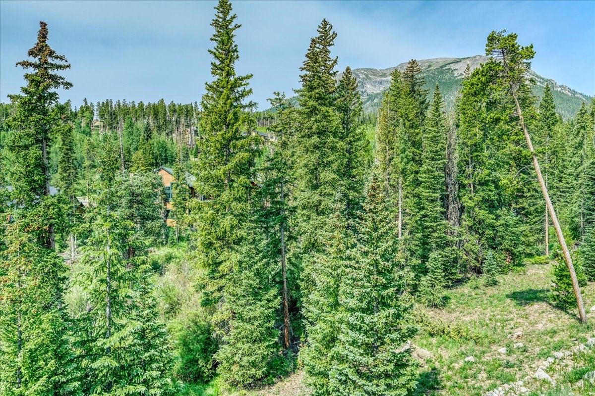 91399 Ryan Gulch Road, Unit B6 Silverthorne, CO 80498 - Photo 44 of 50